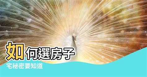 房子面東北|陽宅風水學 坐西南向東北 「坤」宅秘密要知道 – 阿丸。